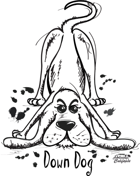 Yoga Haven Clapham, London now stocking our Yoga Wear